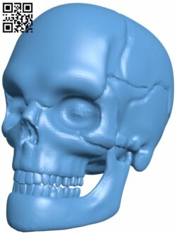 Human skull H007739 file stl free download 3D Model for CNC and 3d printer