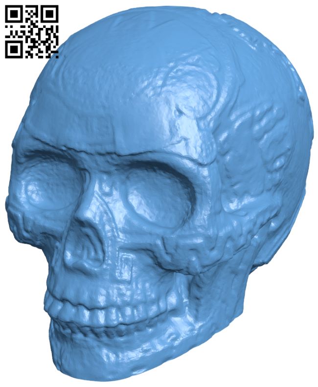Mayan Skull H007909 file stl free download 3D Model for CNC and 3d printer