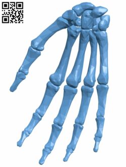 Right hand bone H008276 file stl free download 3D Model for CNC and 3d printer