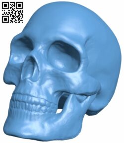 Skull H007931 file stl free download 3D Model for CNC and 3d printer