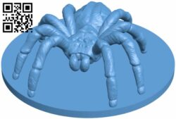 Spider H007748 file stl free download 3D Model for CNC and 3d printer