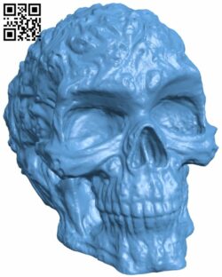 Spook Skull H007939 file stl free download 3D Model for CNC and 3d printer