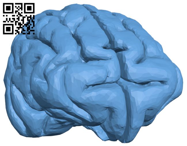 Cheetah Brain H008727 file stl free download 3D Model for CNC and 3d printer