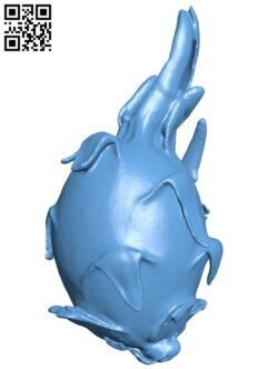 Dragon fruit H009135 file stl free download 3D Model for CNC and 3d printer