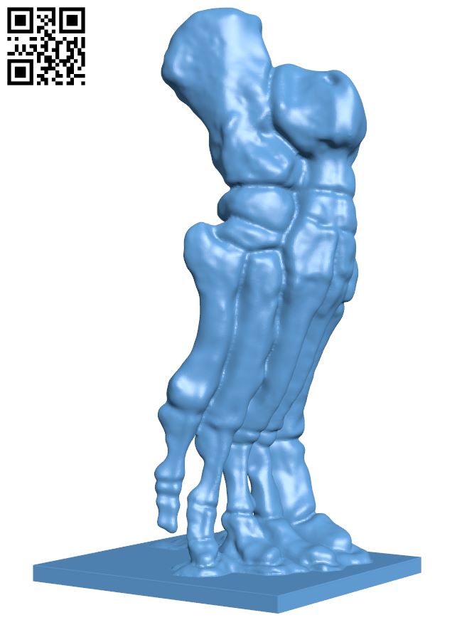Foot skeleton H009046 file stl free download 3D Model for CNC and 3d printer