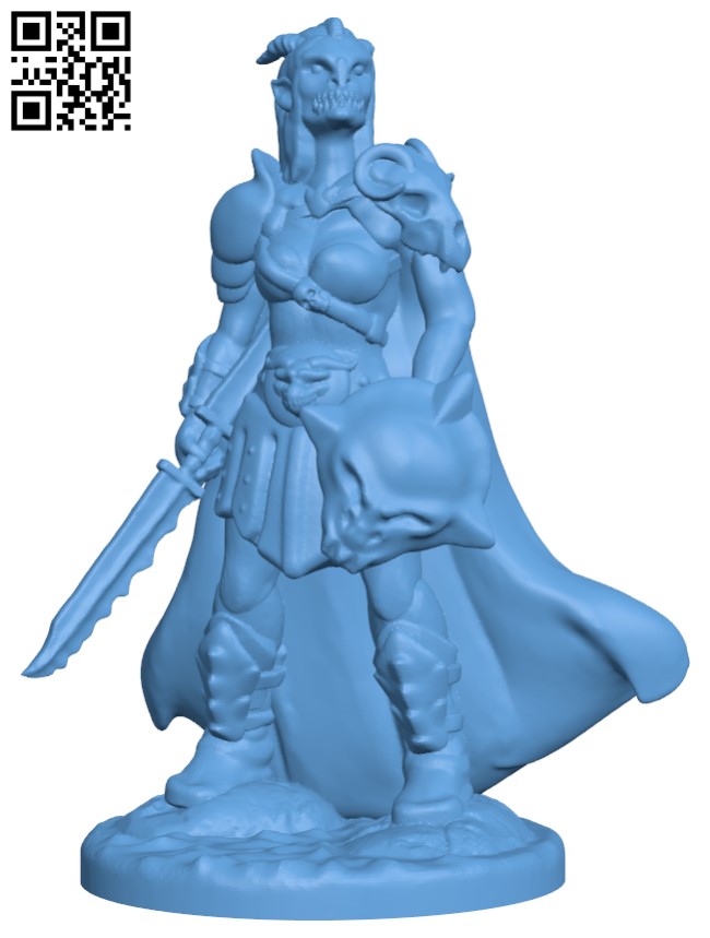 Inox Guard - Gloomhaven Monster H009718 file stl free download 3D Model for CNC and 3d printer