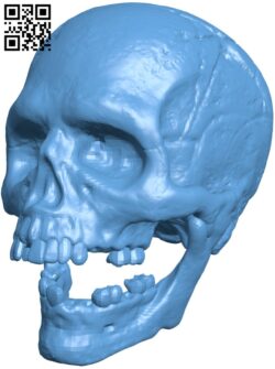 Skull H009797 file stl free download 3D Model for CNC and 3d printer