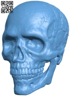 Skull H009828 file stl free download 3D Model for CNC and 3d printer