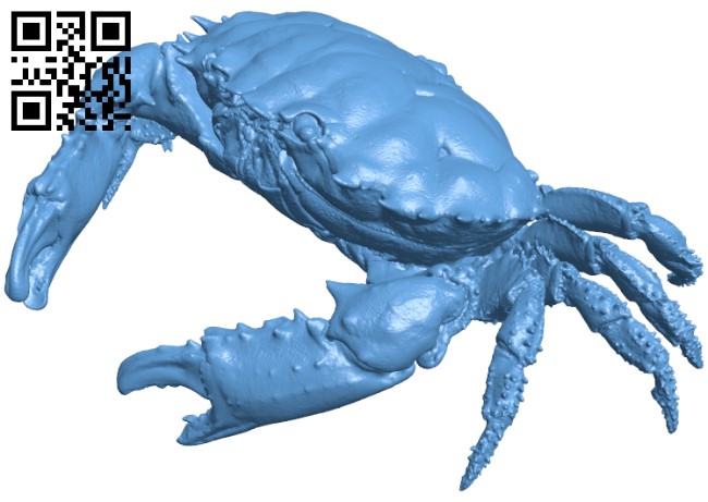Crab H010072 file stl free download 3D Model for CNC and 3d printer