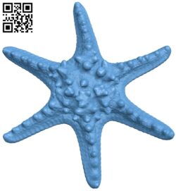 Starfish T0002530 download free stl files 3d model for CNC wood carving