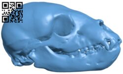 American black bear specimen – Immature male H011501 file stl free download 3D Model for CNC and 3d printer