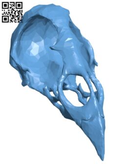 Chicken skull H011446 file stl free download 3D Model for CNC and 3d printer