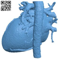 Human heart H011451 file stl free download 3D Model for CNC and 3d printer