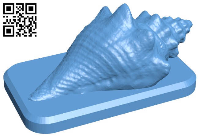 Sea shell H011460 file stl free download 3D Model for CNC and 3d printer