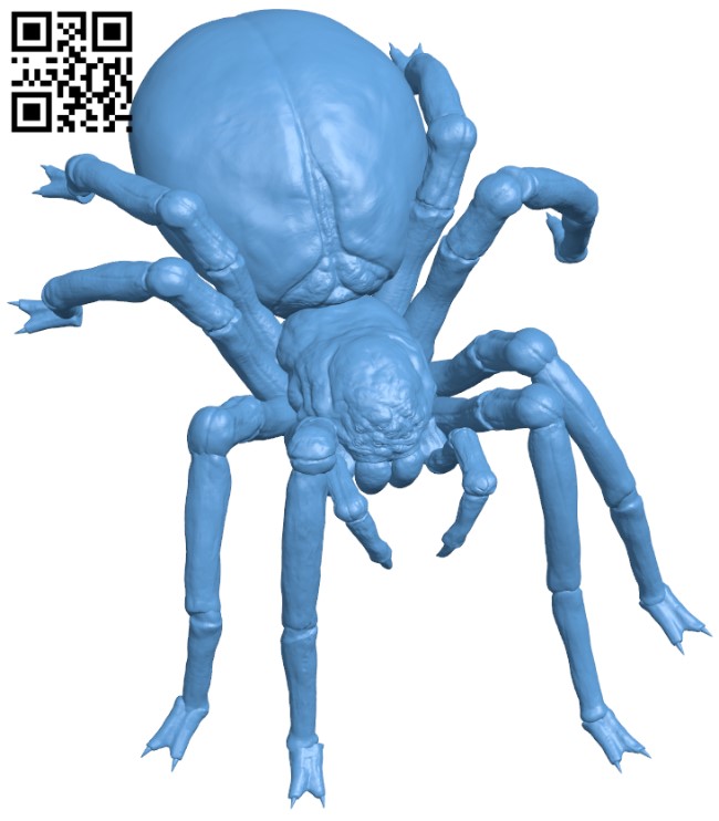 Spider H011789 file stl free download 3D Model for CNC and 3d printer