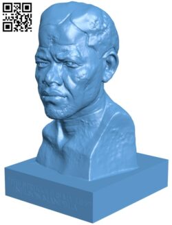 Nelson Mandela Bust H011852 file stl free download 3D Model for CNC and 3d printer