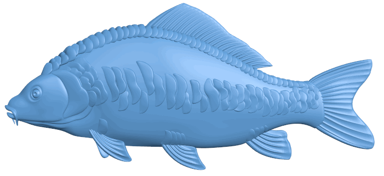 Carp – fish T0004781 download free stl files 3d model for CNC wood carving
