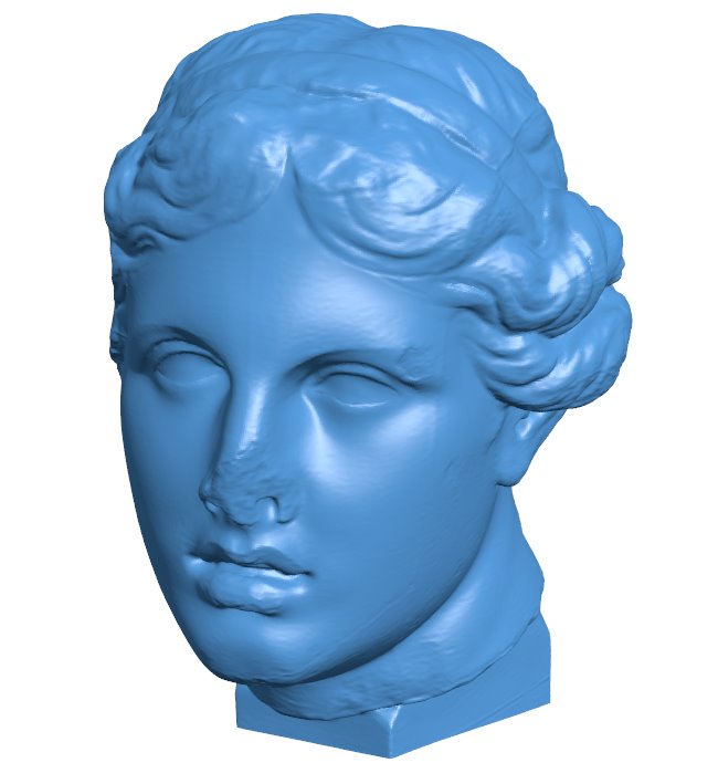 Beautiful head no base B009681 file obj free download 3D Model for CNC and 3d printer