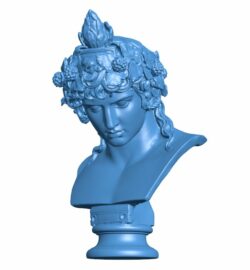 Famous bust of Antinous as Dionysus B009684 file obj free download 3D Model for CNC and 3d printer