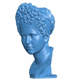 Famous bust of Julia Titi B009685 file obj free download 3D Model for CNC and 3d printer