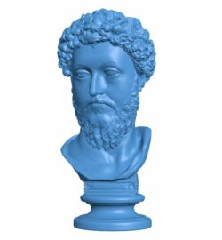Famous bust of Marcus Aurelius B009687 file obj free download 3D Model for CNC and 3d printer