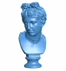 Famous bust of a woman B009683 file obj free download 3D Model for CNC and 3d printer