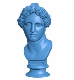Famous bust of the Apollo Lykeios B009688 file obj free download 3D Model for CNC and 3d printer
