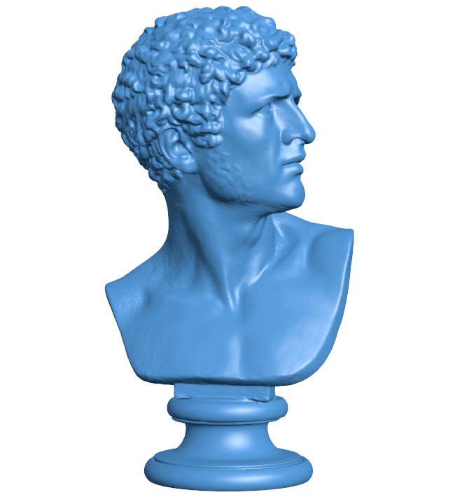 Head of a Man - Famous statue B009755 file Obj or Stl free download 3D Model for CNC and 3d printer