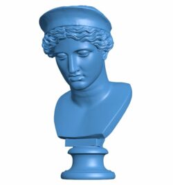 Head of hera barberini – Famous statue B009710 file Obj or Stl free download 3D Model for CNC and 3d printer