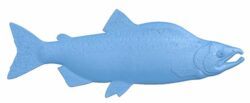 Fish T0006200 download free stl files 3d model for CNC wood carving