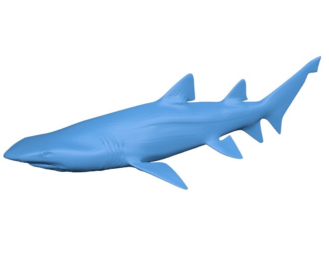 Scary Shark B009777 file Obj or Stl free download 3D Model for CNC and 3d printer