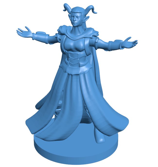 Eowilgalith - shadow fey warlock B010031 file Obj or Stl free download 3D Model for CNC and 3d printer