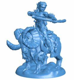 Female Barbarian Rider B009998 file Obj or Stl free download 3D Model for CNC and 3d printer