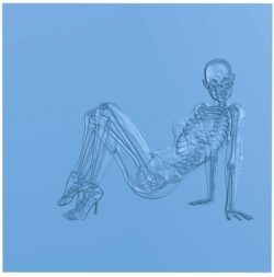 Picture of x-rays T0007012 download free stl files 3d model for CNC wood carving