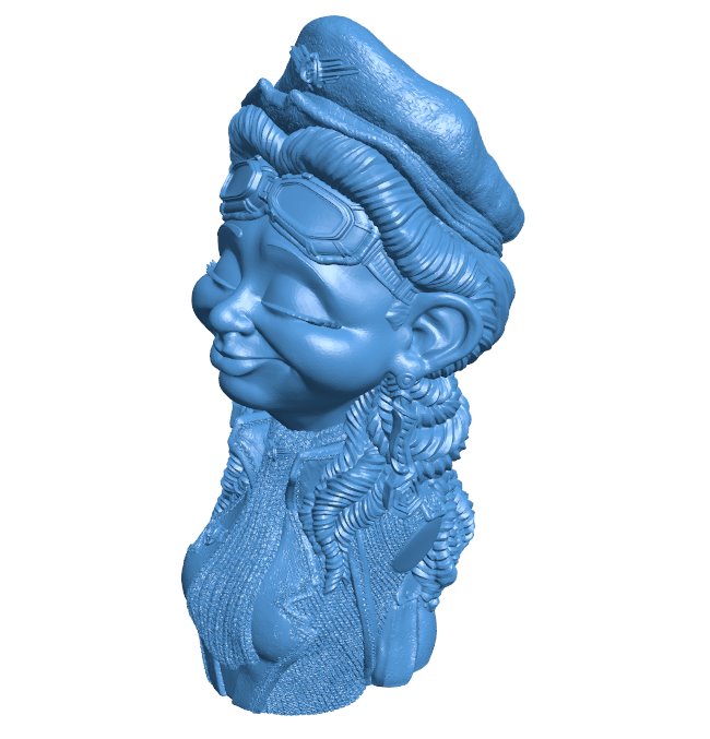 The Cheerful Pilot Med B009975 file Obj or Stl free download 3D Model for CNC and 3d printer