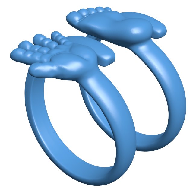 2 rings B010384 file Obj or Stl free download 3D Model for CNC and 3d printer