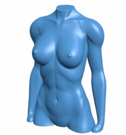 Female torso B010304 file Obj or Stl free download 3D Model for CNC and 3d printer