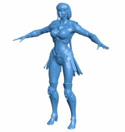 Wonder Woman B010470 file Obj or Stl free download 3D Model for CNC and 3d printer