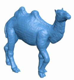 Camel walking B010528 file Obj or Stl free download 3D Model for CNC and 3d printer