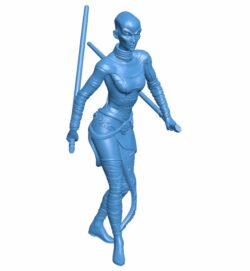 Female monk warrior B010554 3d model file for 3d printer