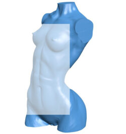 Body – women B010795 3d model file for 3d printer