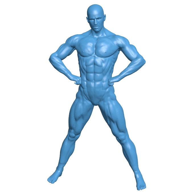 Muscular man B010696 3d model file for 3d printer