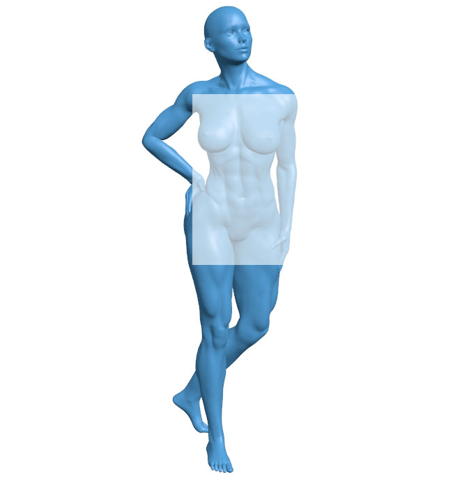 Muscular woman B010697 3d model file for 3d printer