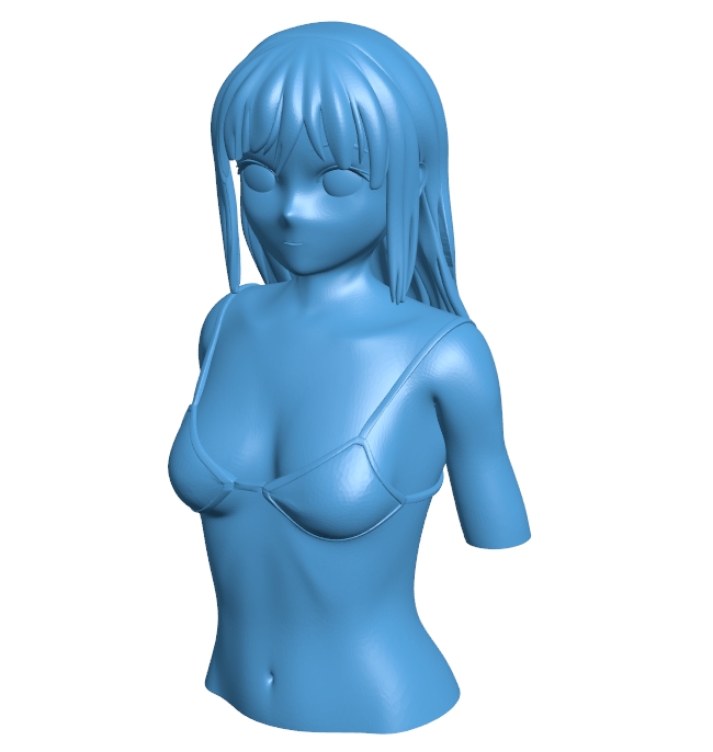 Woman bust B01070 3d model file for 3d printer