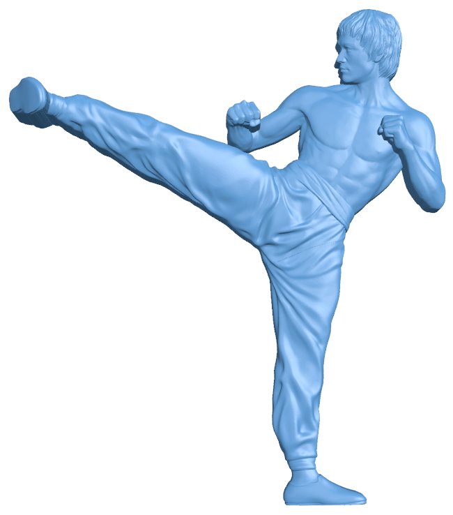 Bruce Lee T0009387 download free stl files 3d model for CNC wood carving