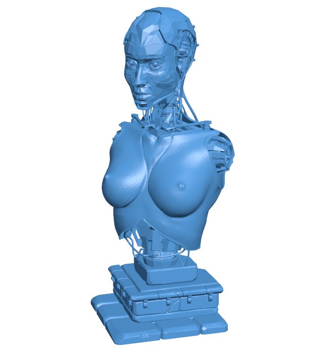 Bust of android girl B010918 3d model file for 3d printer Bust of android girl B010918 3d model file for 3d printer