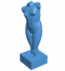 Fragement of The Esquiline Venus at the Louvre, Paris B010914 3d model file for 3d printer