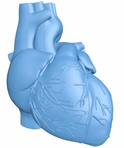 Heart human T0009393 download free stl files 3d model for CNC wood carving