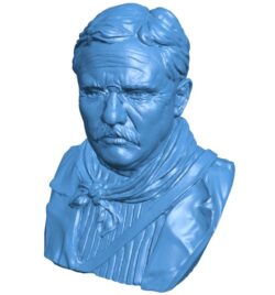 Bust of Theodore Roosevelt at the American Museum of Natural History B0011188 3d model file for 3d printer