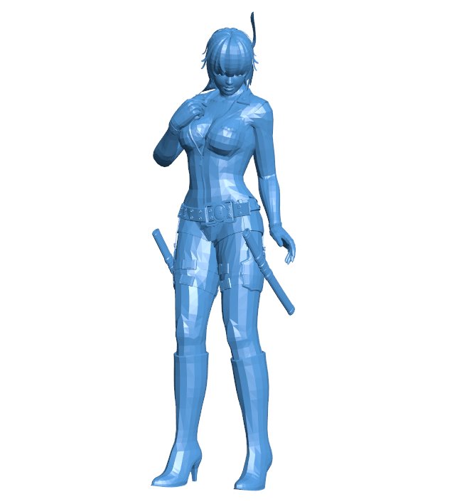 Female katana wielder B0011221 3d model file for 3d printer